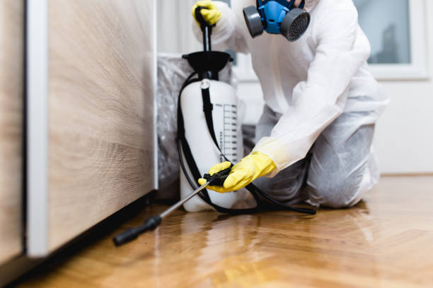Best Wasp Removal Services  in Lockhart, FL