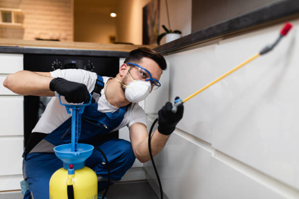 Best Pest Prevention Services  in Lockhart, FL
