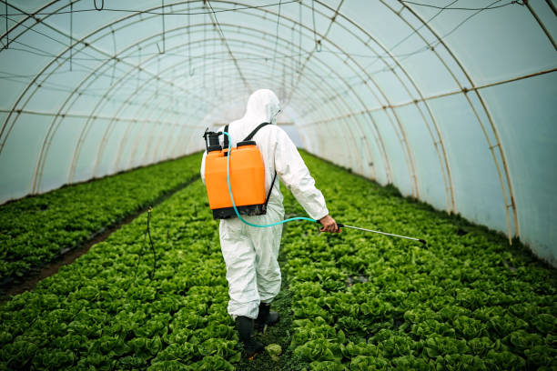 Best Pest Control Near Me in Lockhart, FL
