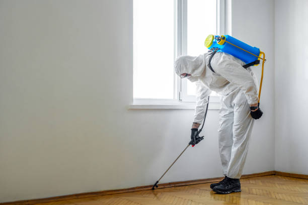 Best Flea Control Services  in Lockhart, FL