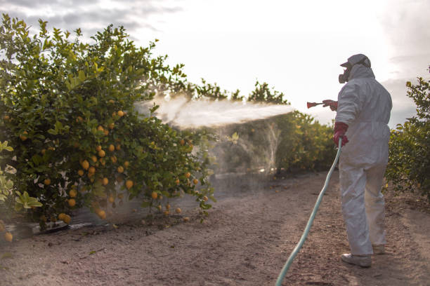 Best Commercial Pest Control Services  in Lockhart, FL