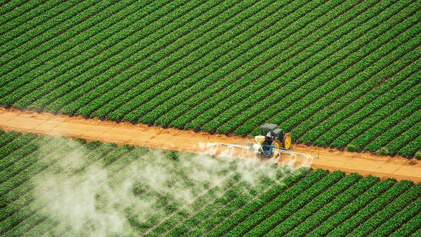 Best Best Pest Control Near Me  in Lockhart, FL