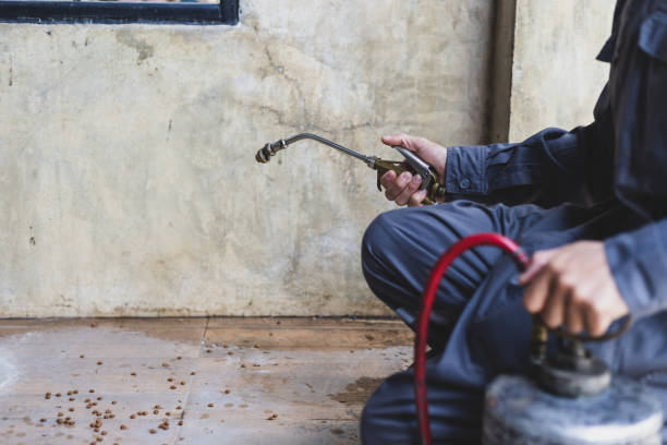 Best Pest Removal Services  in Lockhart, FL