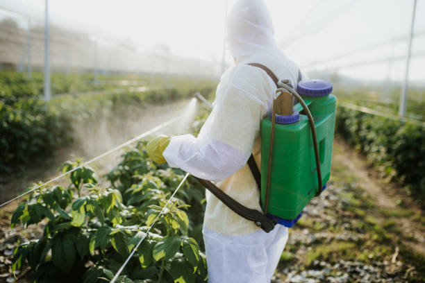 Best Best Pest Control Companies  in Lockhart, FL
